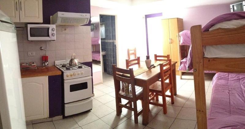 Apartment Antu Mahuida *